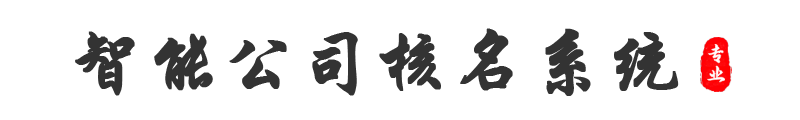 盘古财税智能公司核名系统